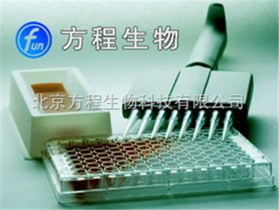 人α半乳糖基抗體(Gal)ELISA檢測試劑盒價(jià)格 北京