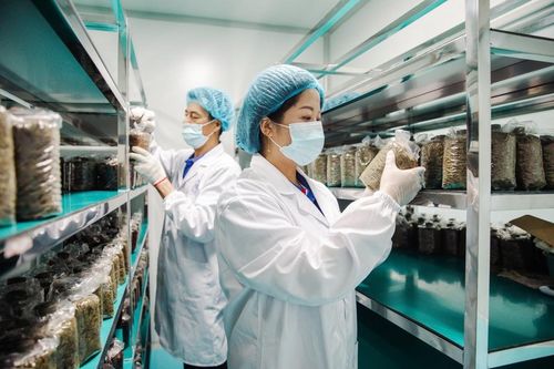 出圈 世界 安吉 茶科技 產(chǎn)品亮相2023博鰲亞洲論壇