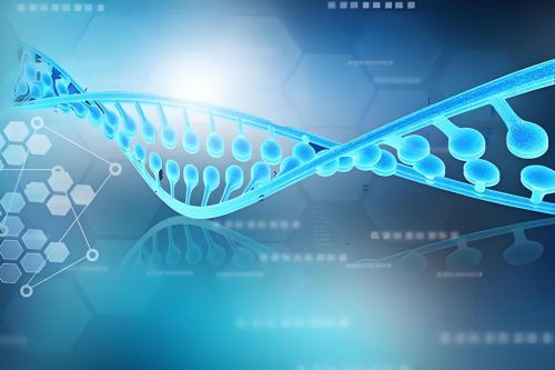 全球矚目,instro ai因斯特羅生物科技公司線(xiàn)上發(fā)布會(huì)正式啟動(dòng)