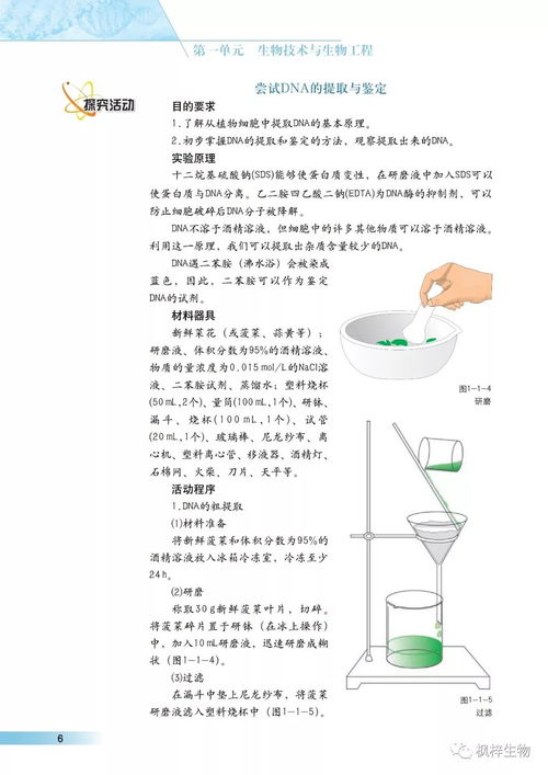 滬科版高中生物選修3 現(xiàn)代生物科技專(zhuān)題 電子課本 高清版