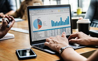 江蘇項目投資風險評估 專業、公正、口碑卓越的啟佳信息咨詢服務